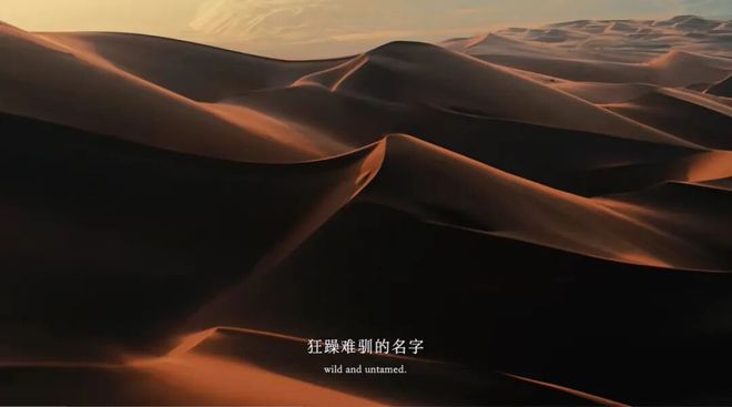 不像广告的广告蒙牛一部治沙短片看哭网友(图2)