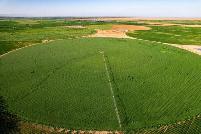 不像广告的广告蒙牛一部治沙短片看哭网友(图9)