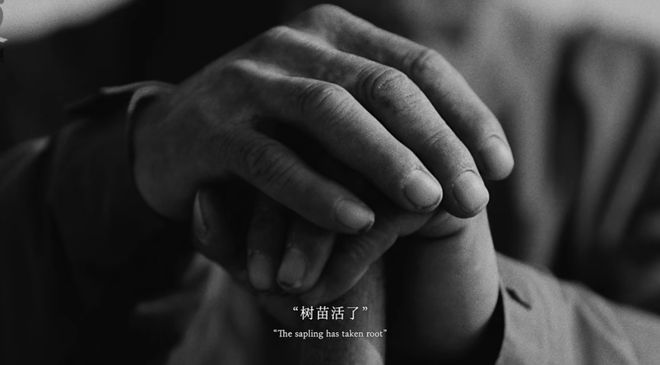 不像广告的广告蒙牛一部治沙短片看哭网友(图7)