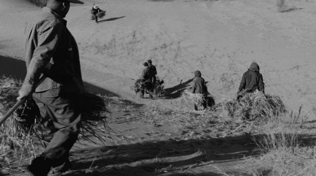 不像广告的广告蒙牛一部治沙短片看哭网友(图6)