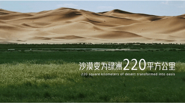 不像广告的广告蒙牛一部治沙短片看哭网友(图10)