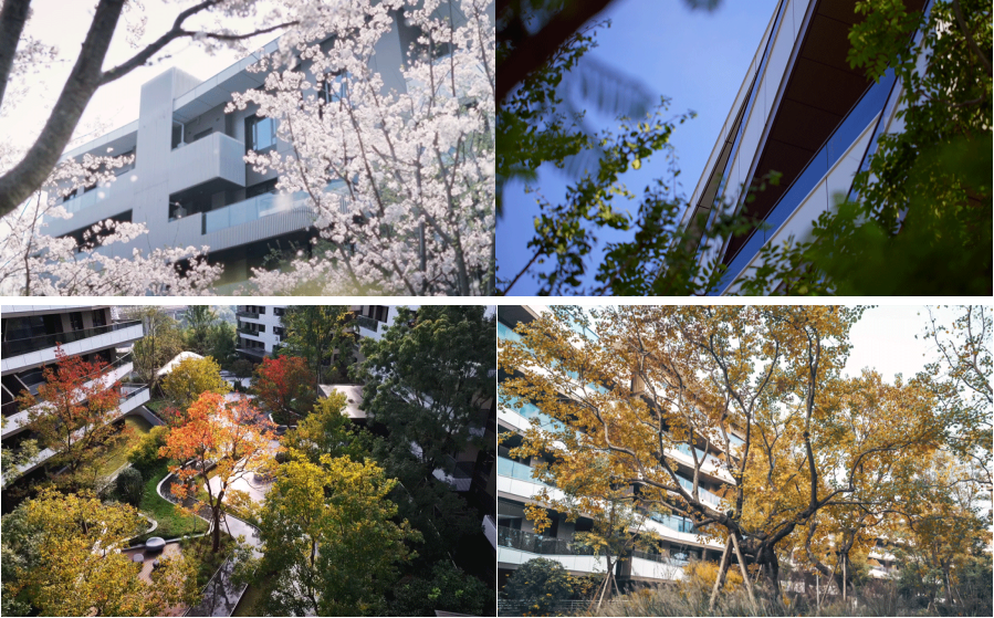 践行生态理念麓溪半岛构建历久弥新的绿色栖居样本(图2)