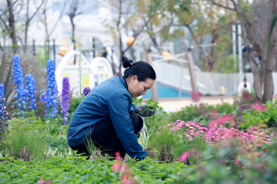 践行生态理念麓溪半岛构建历久弥新的绿色栖居样本(图5)
