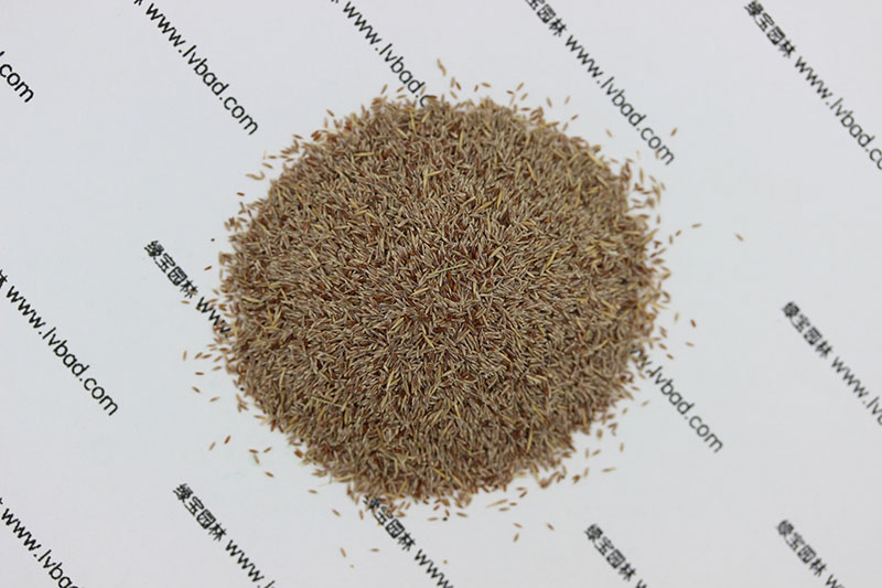 植物的培育方式有哪些(图8)