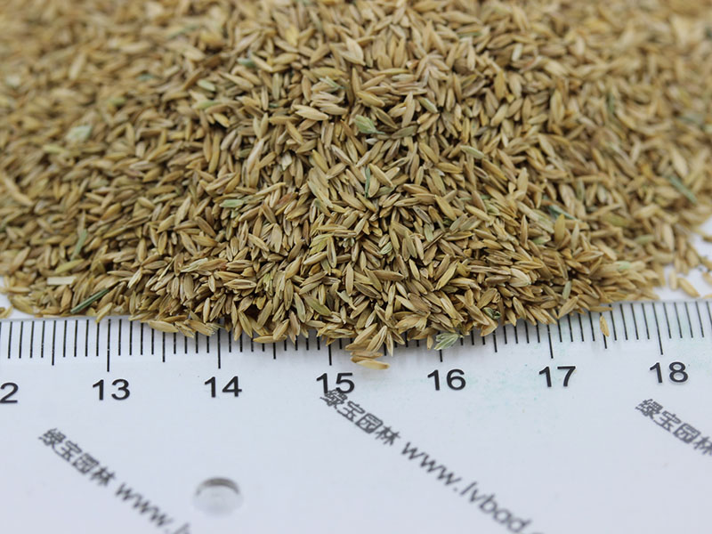 植物的培育方式有哪些(图6)