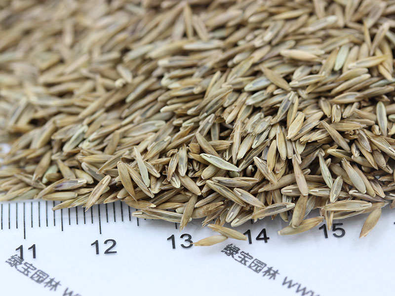 植物的培育方式有哪些(图7)