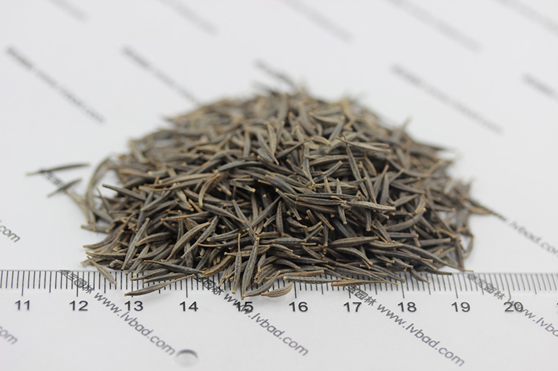 植物的培育方式有哪些(图14)