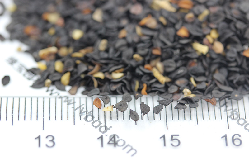 植物的培育方式有哪些(图13)