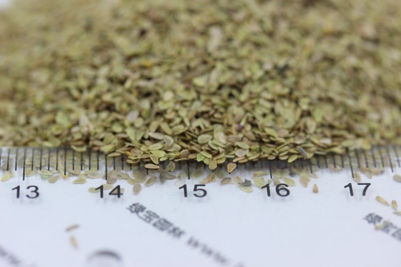 植物的培育方式有哪些(图16)