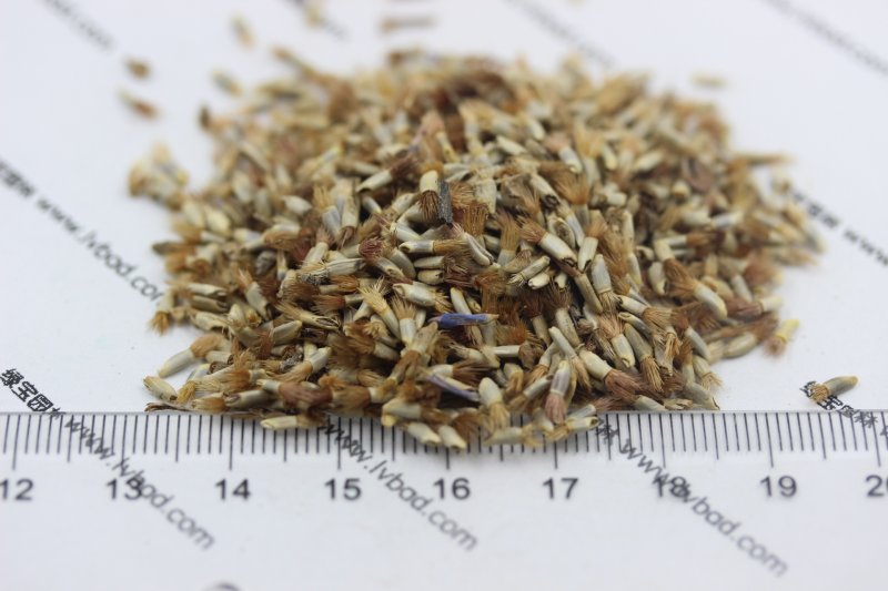 植物的培育方式有哪些(图15)