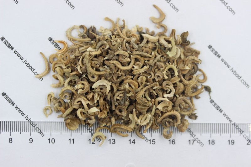 植物的培育方式有哪些(图12)