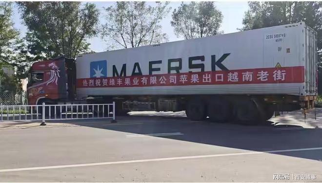 千阳苹果：科技赋能传统果业 品牌点亮乡村振兴(图4)