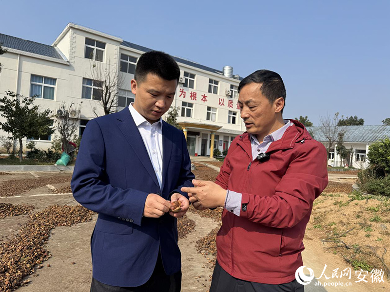 交通银行安徽省分行：益农快贷 金融益农(图2)