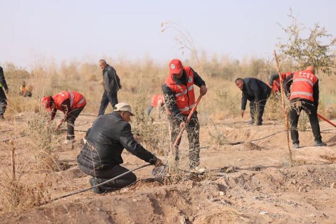 12906万亩！怎么做到的？(图2)