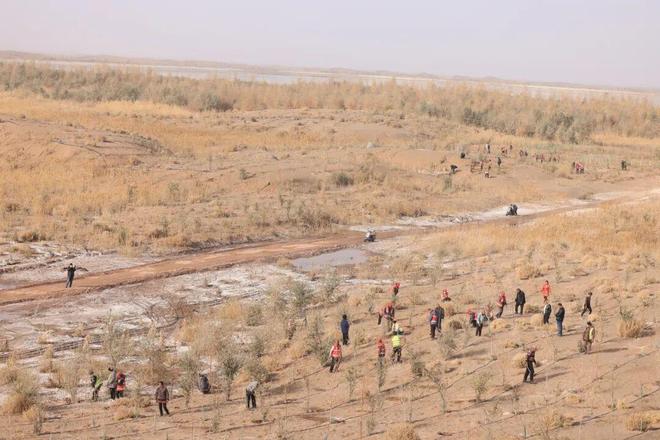 12906万亩！怎么做到的？(图3)