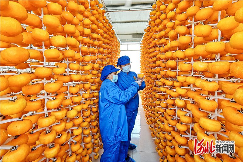 奋进的河北·“十四五”答卷丨身边的“十四五”（十一）：不同的增收路径 一样的幸福笑脸(图3)