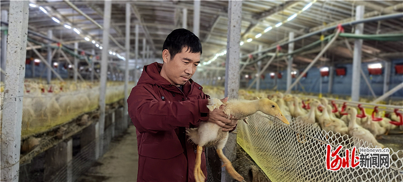 奋进的河北·“十四五”答卷丨身边的“十四五”（十一）：不同的增收路径 一样的幸福笑脸(图4)