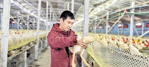 不同的增收路径 一样的幸福笑脸(图2)