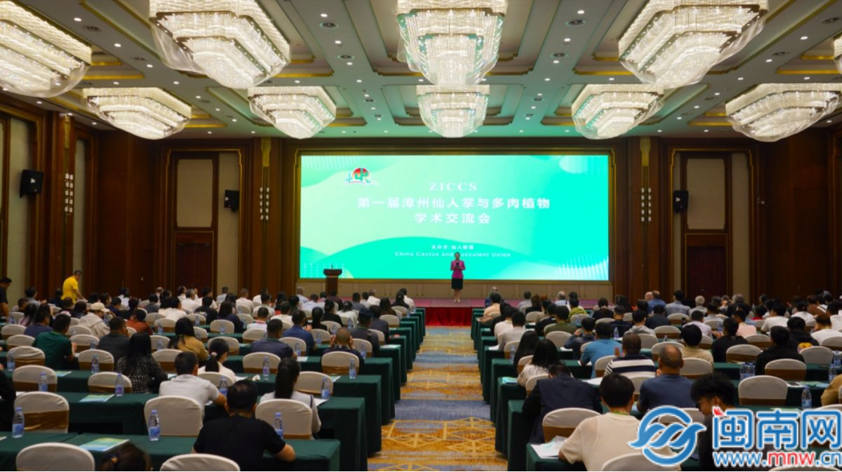首届漳州仙人掌与多肉植物学术交流会在漳州龙海举办(图1)