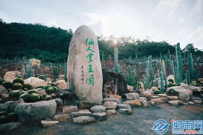 首届漳州仙人掌与多肉植物学术交流会在漳州龙海举办(图6)