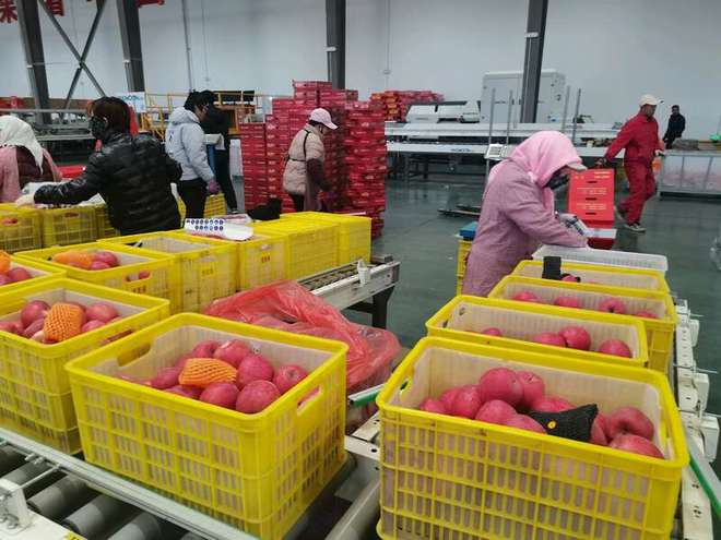 甘肃：黄土塬上土味产业“玩出花”(图1)