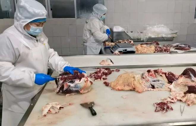 甘肃：黄土塬上土味产业“玩出花”(图2)