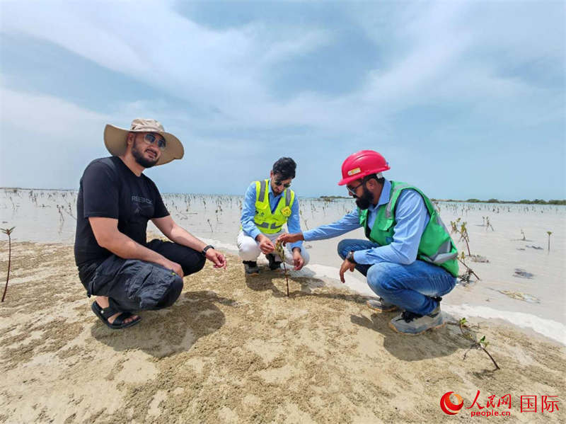 “鱼类重回珊瑚丛表明生态已经恢复”(图3)