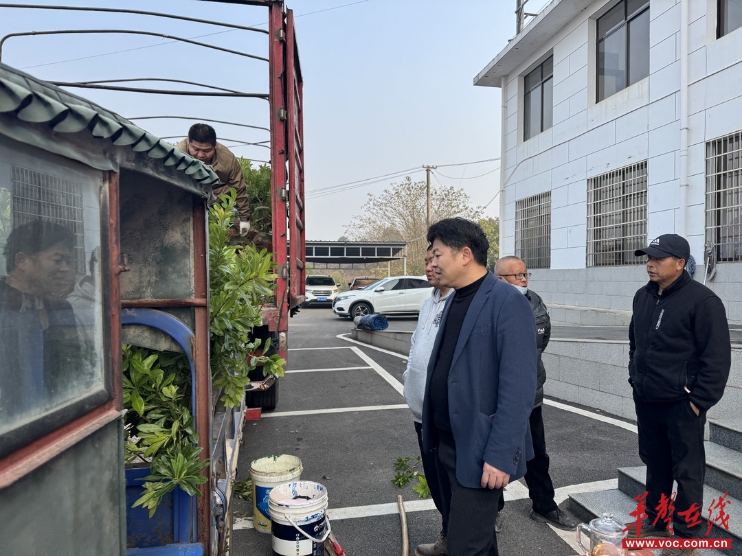 湘阴县东塘镇：杨梅苗到家 振兴有 “甜头”(图2)