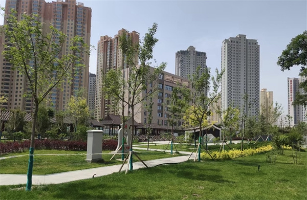 七里河区丨厚植“青绿”底色 书写“精致”生态答卷(图4)