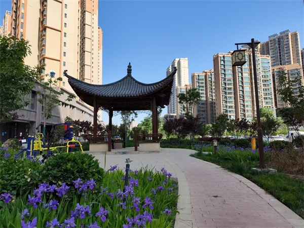 七里河区丨厚植“青绿”底色 书写“精致”生态答卷(图3)