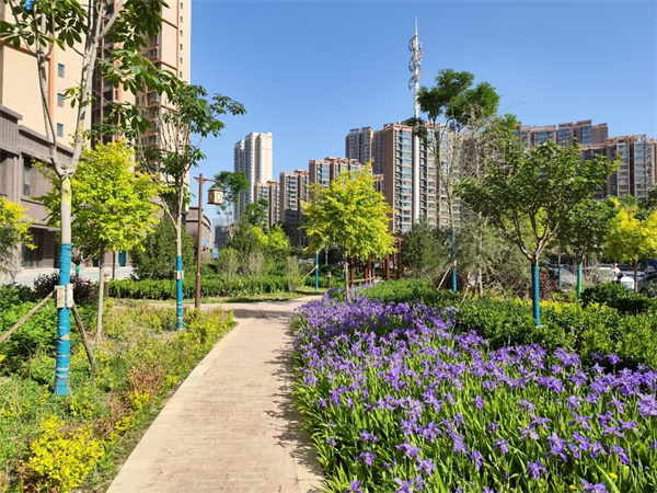 七里河区丨厚植“青绿”底色 书写“精致”生态答卷(图5)