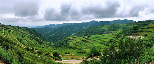 七里河区丨厚植“青绿”底色 书写“精致”生态答卷(图6)