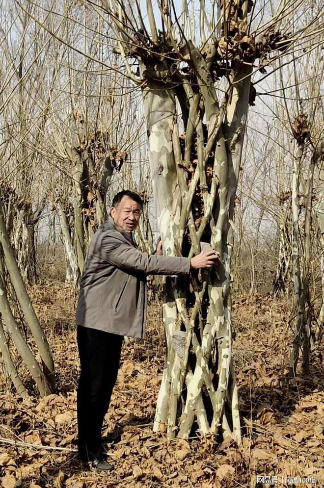 河南封丘腾润苗木刘文军：家国情怀 植种万千苗木 守望生命绿洲(图2)