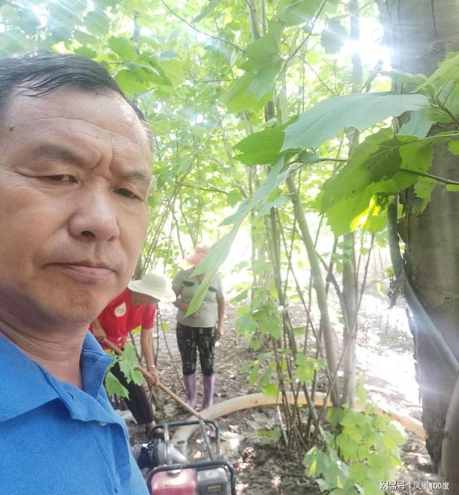 河南封丘腾润苗木刘文军：家国情怀 植种万千苗木 守望生命绿洲(图5)