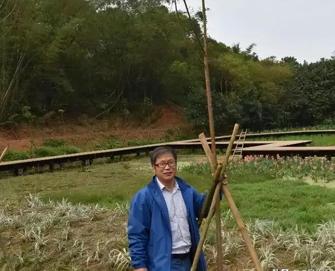 被预言百年内灭绝云南仅1株2017年专家2次尝试培育都失败(图22)