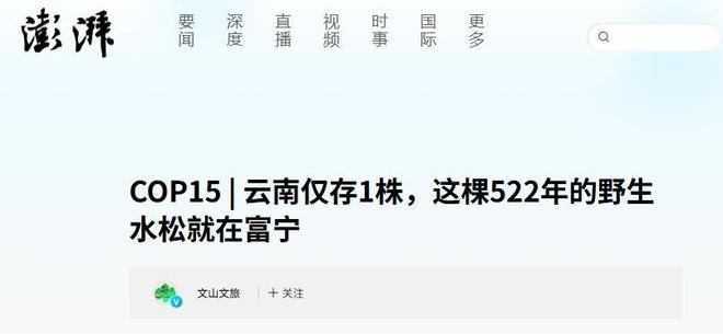 被预言百年内灭绝云南仅1株2017年专家2次尝试培育都失败(图25)