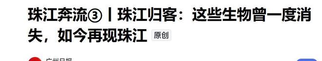 被预言百年内灭绝云南仅1株2017年专家2次尝试培育都失败(图26)
