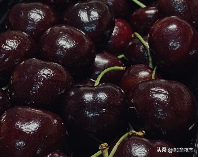 车厘子的前世今生(图1)