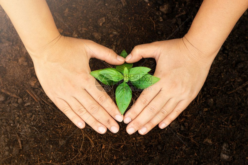 科技成果 宜良县科技赋能苗木花卉产业转型升级(图1)