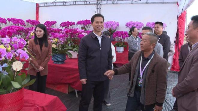 【聚焦“百千万工程”】2026广东·金石花卉文化周暨迎春花市活动今日开幕(图3)