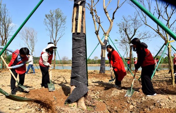 广佛清三地共筑绿美屏障(图4)