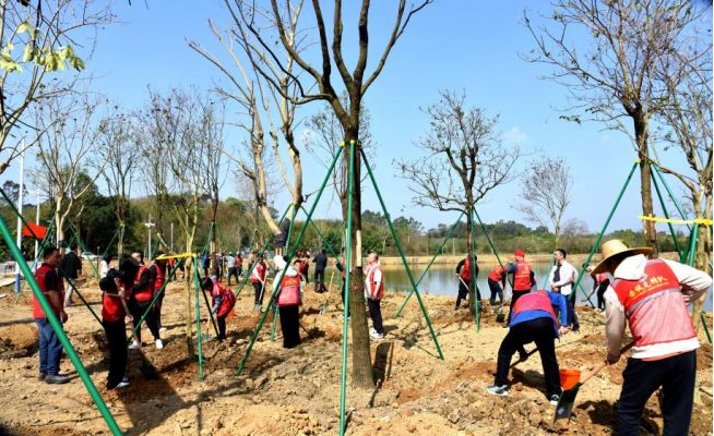 广佛清三地共筑绿美屏障(图2)