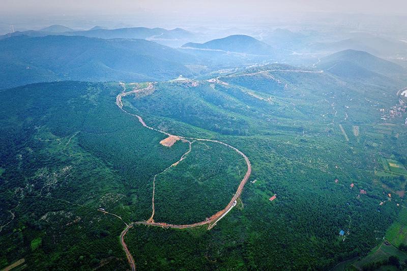 超越“只此青绿”安徽林业的“质”胜之道