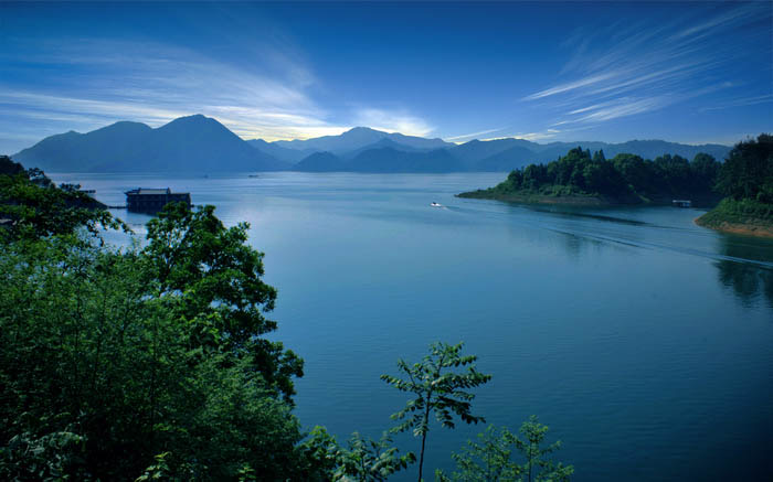 超越“只此青绿”安徽林业的“质”胜之道(图2)