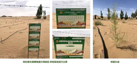 嘿！这是一封来自阿拉善的植树邀请信(图3)