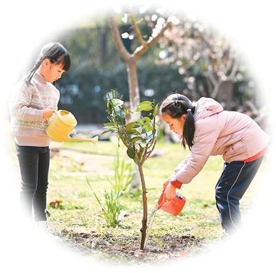 植此青绿 共赴春光(图1)
