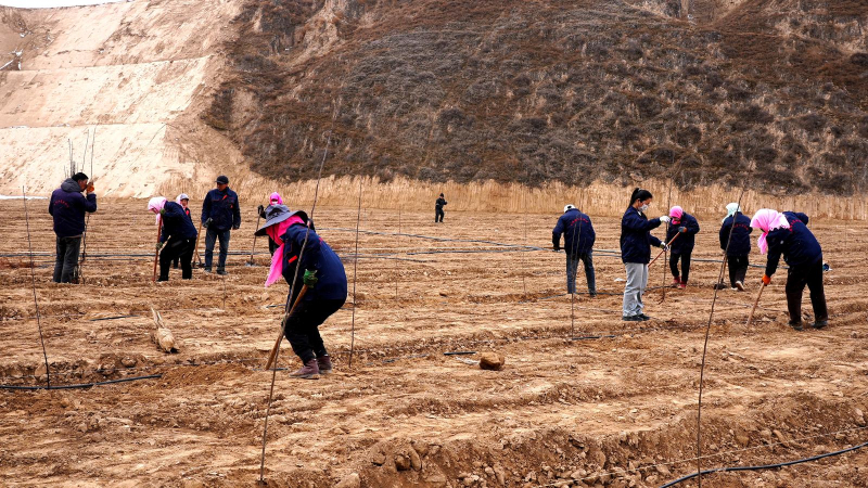 春耕正当时 栽种新希望(图2)