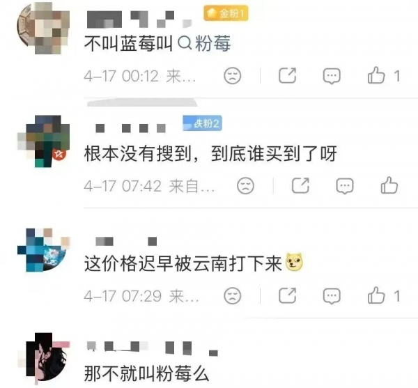 最高400元斤“粉色蓝莓”冲上热搜！网友：什么时候价格打下来(图6)