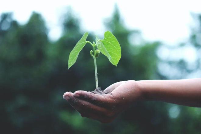 大规模私自制种、侵害育种技术秘密5起种业典型案例发布！(图1)