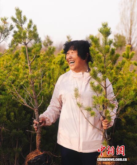 中国治沙劳模喊话美国友人回来看他捐赠的树(图1)